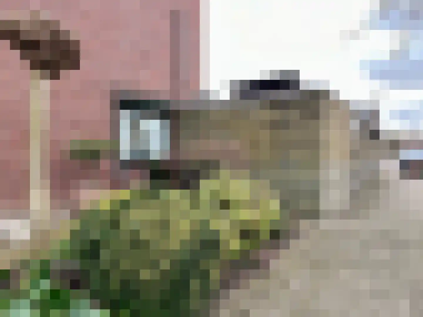 Lodewijkstraat 63 Montfoort thumbnail 22
