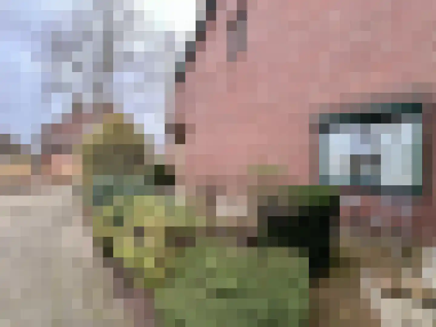 Lodewijkstraat 63 Montfoort thumbnail 23