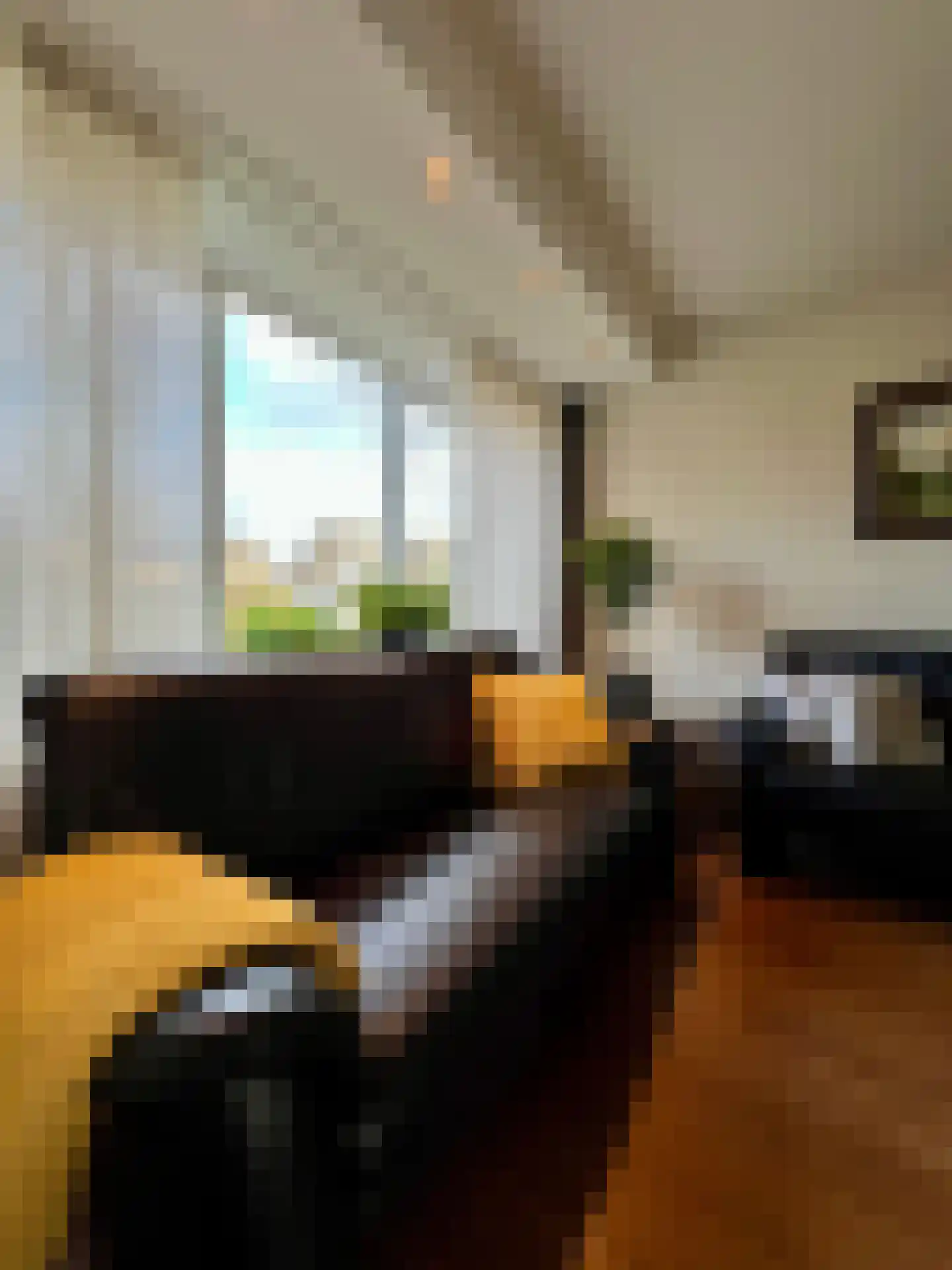 Lodewijkstraat 63 Montfoort thumbnail 4