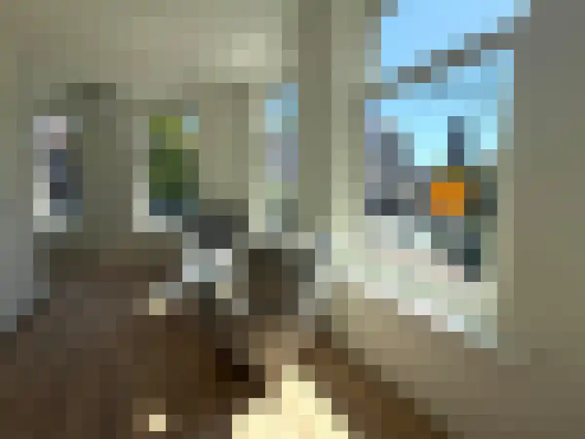 Loeff Berchmakerstraat 19 Utrecht thumbnail 5