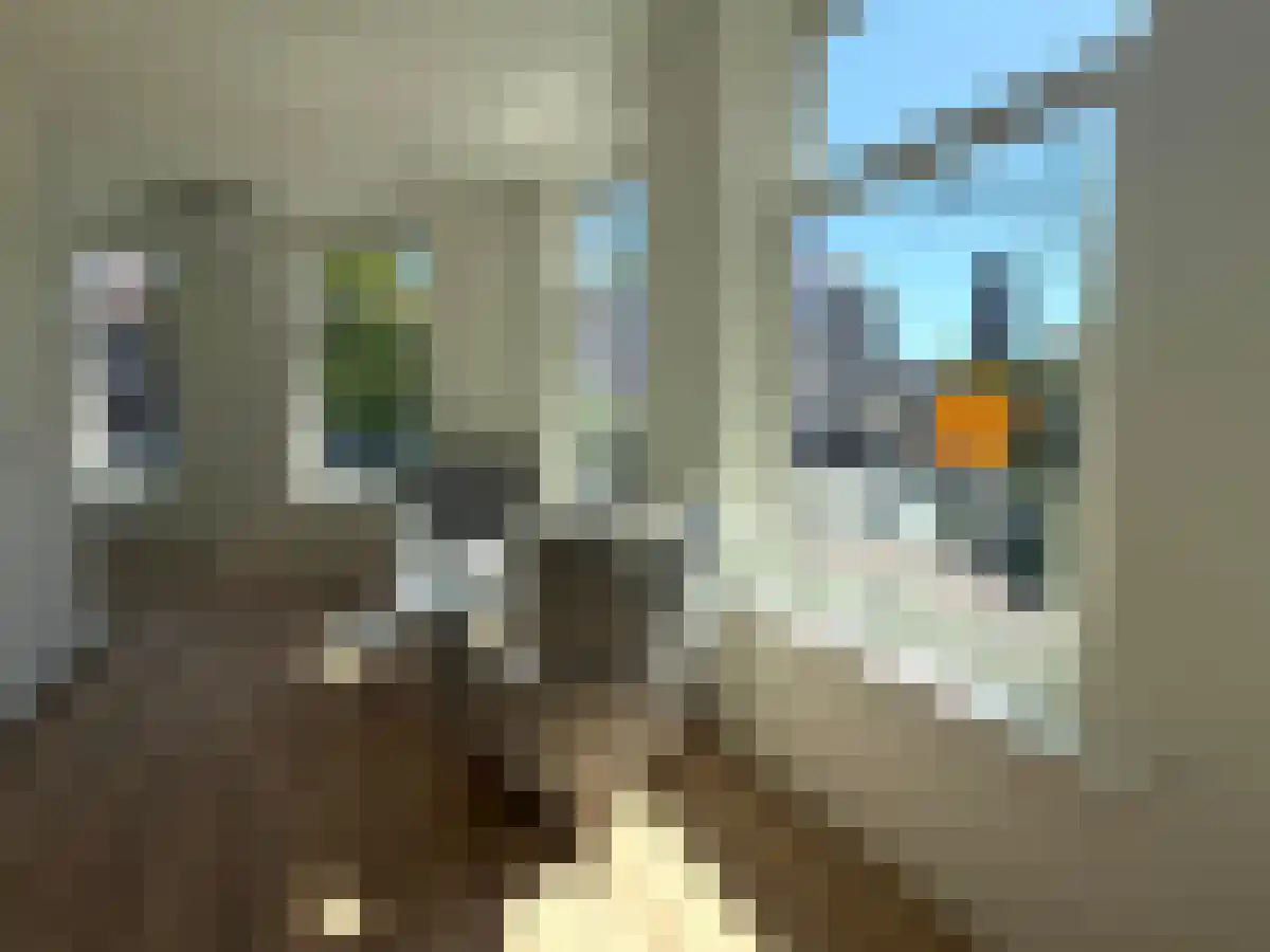 Loeff Berchmakerstraat 19 Utrecht thumbnail 5