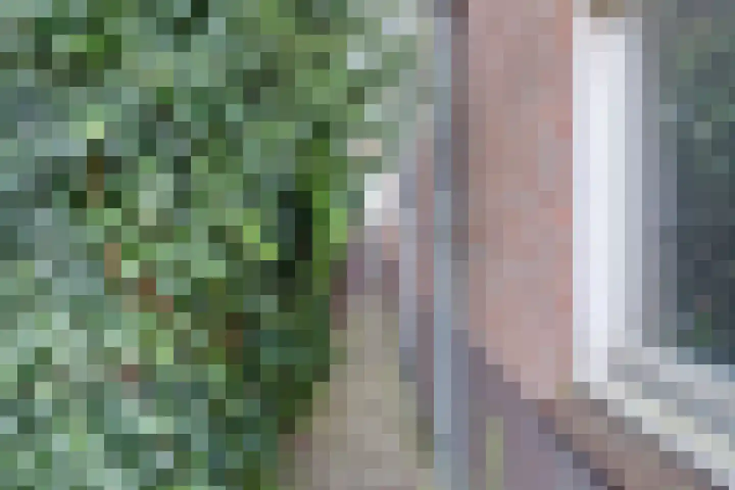 Loeff Berchmakerstraat 20 C Utrecht thumbnail 35