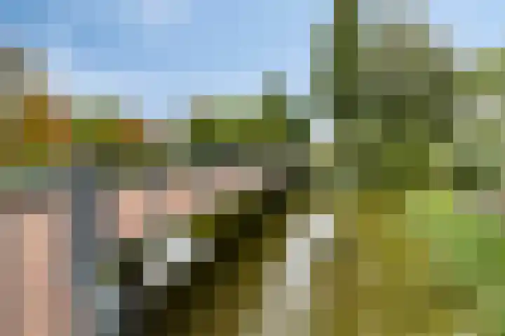 Loeffendijk 13 Middenbeemster thumbnail 22