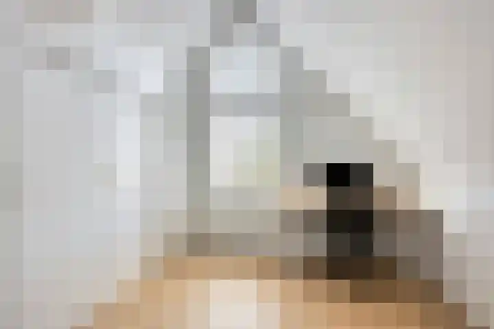 Loeffendijk 13 Middenbeemster thumbnail 28