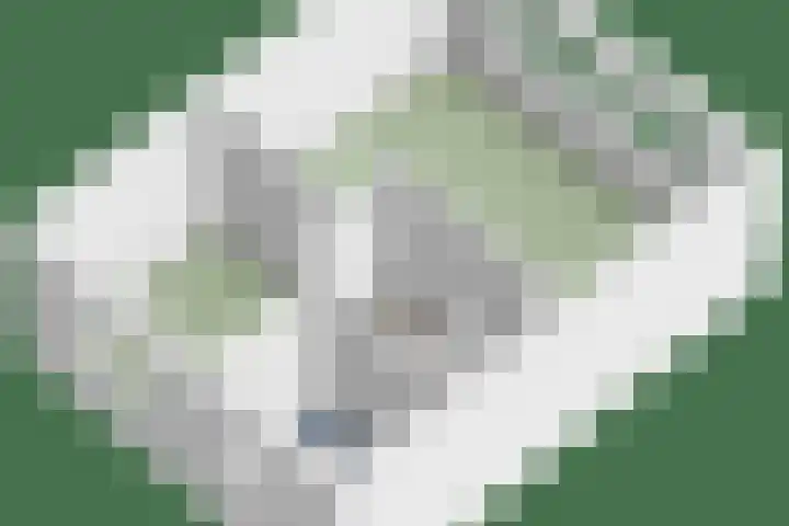 Loeffendijk 13 Middenbeemster thumbnail 42
