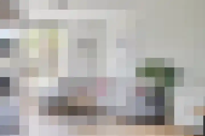Loeffendijk 13 Middenbeemster thumbnail 5