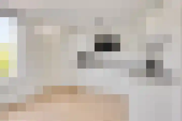 Loeffendijk 13 Middenbeemster thumbnail 9