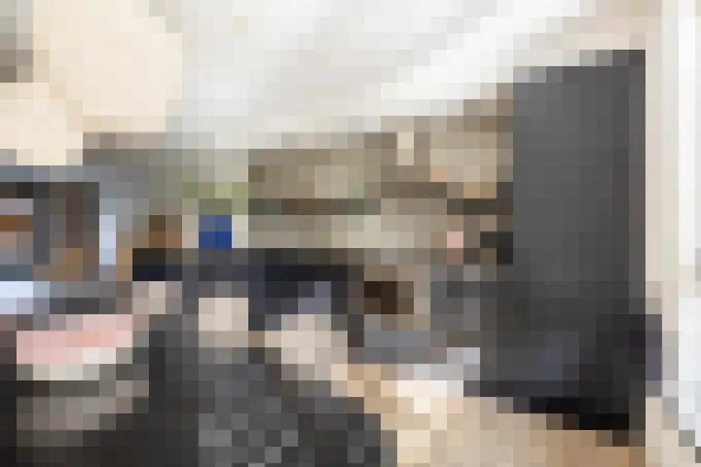 Loeffendijk 6 Middenbeemster thumbnail 17