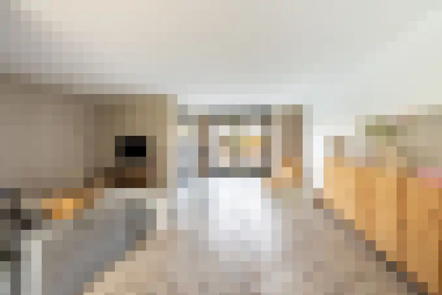 Loeffendijk 6 Middenbeemster thumbnail 20