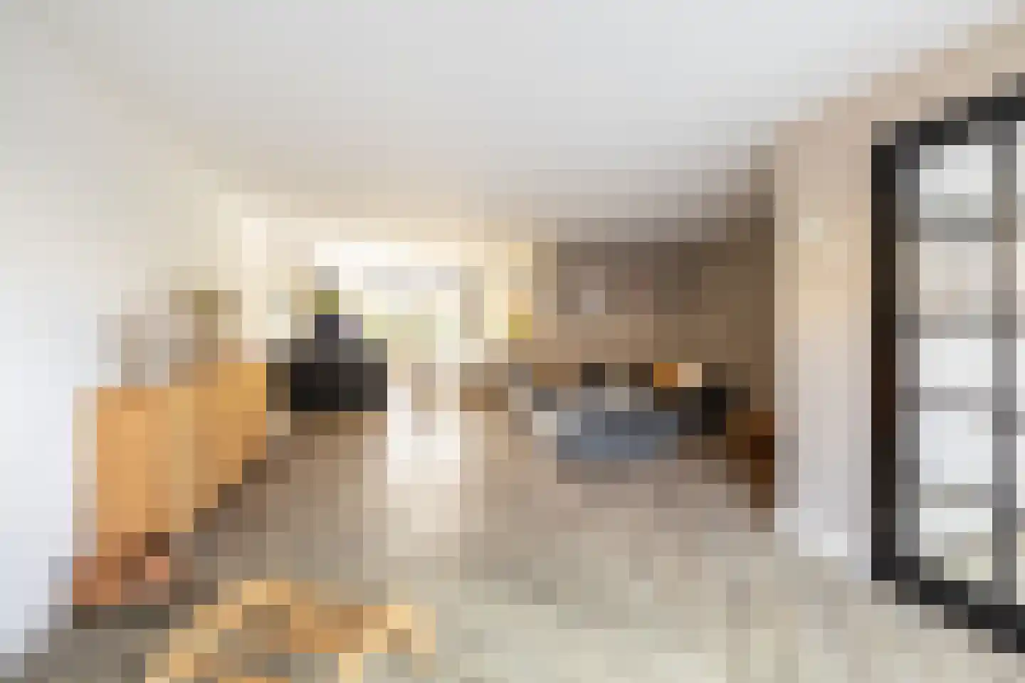 Loeffendijk 6 Middenbeemster thumbnail 21