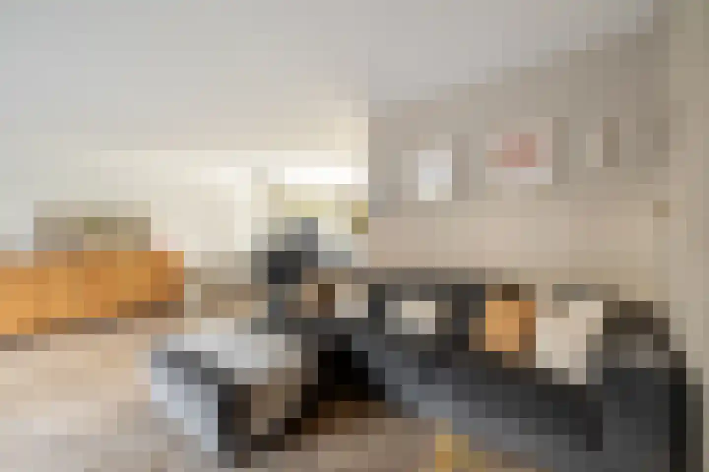 Loeffendijk 6 Middenbeemster thumbnail 22