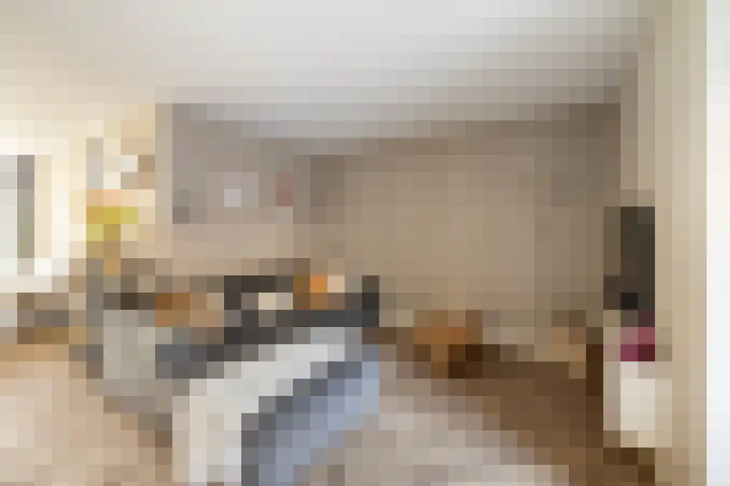 Loeffendijk 6 Middenbeemster thumbnail 23