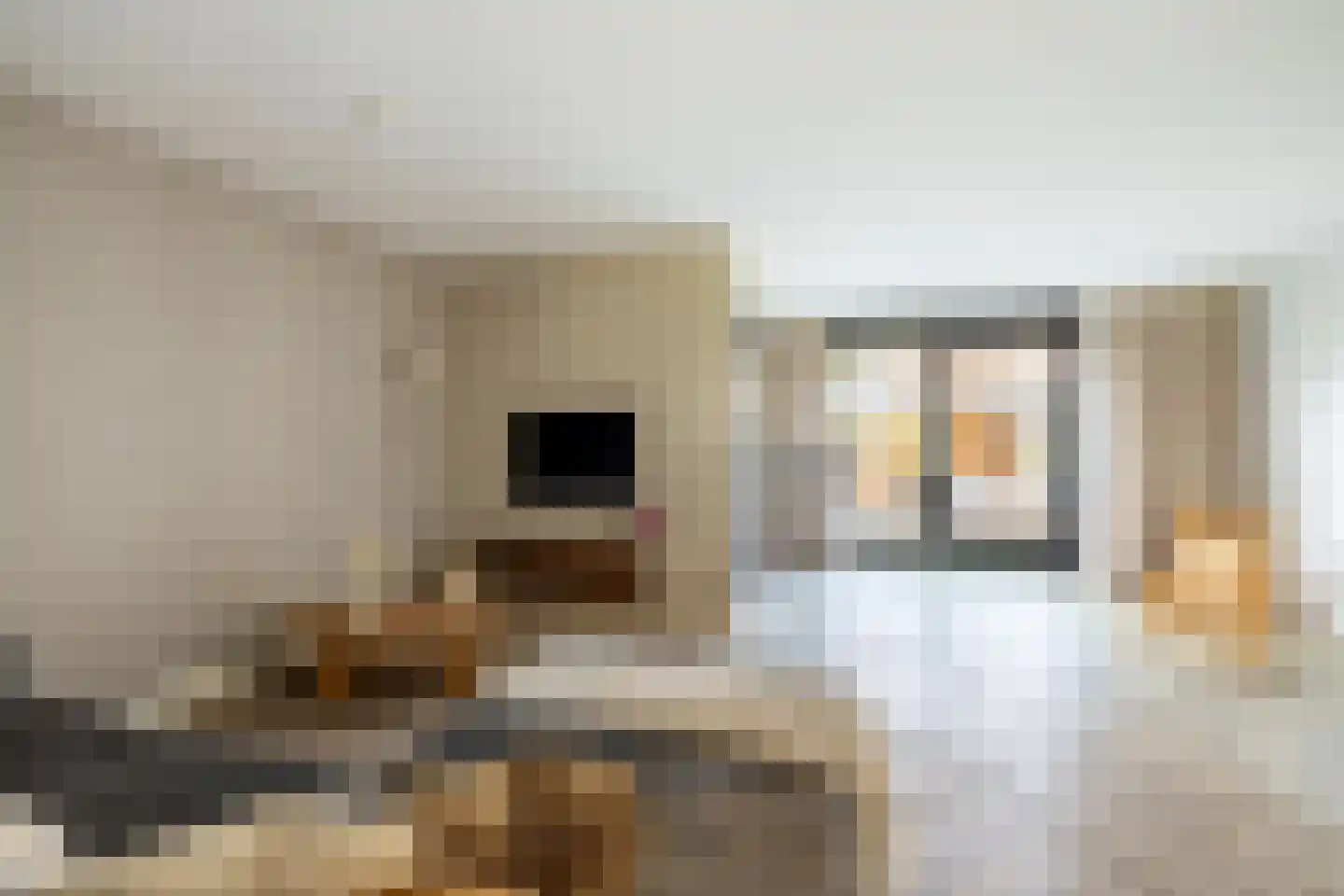 Loeffendijk 6 Middenbeemster thumbnail 24
