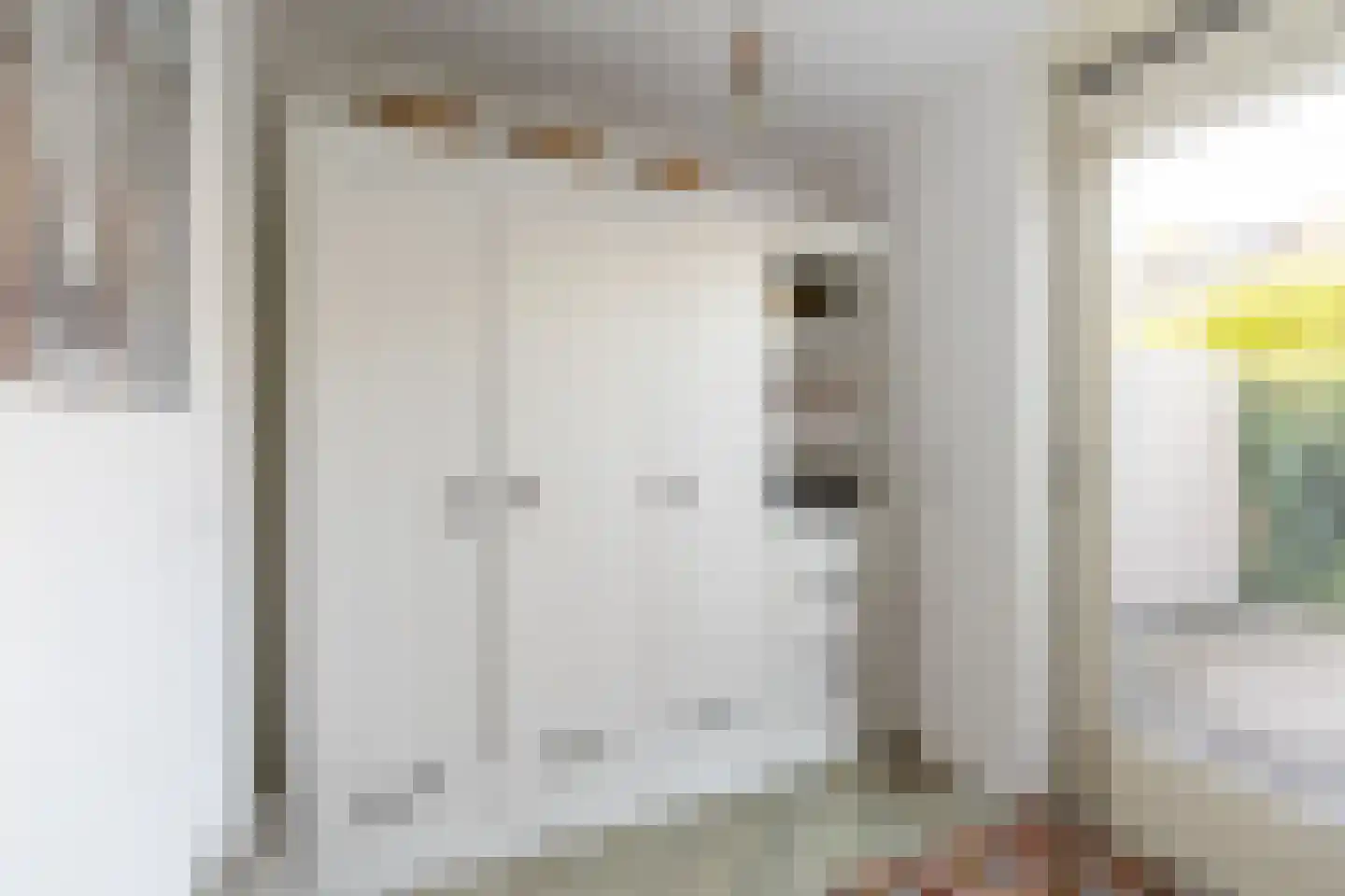 Loeffendijk 6 Middenbeemster thumbnail 25