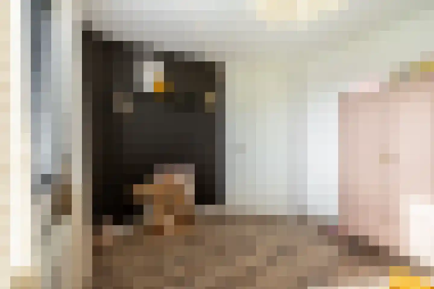 Loeffendijk 6 Middenbeemster thumbnail 31