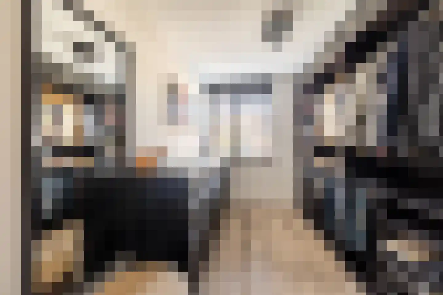 Loeffendijk 6 Middenbeemster thumbnail 33