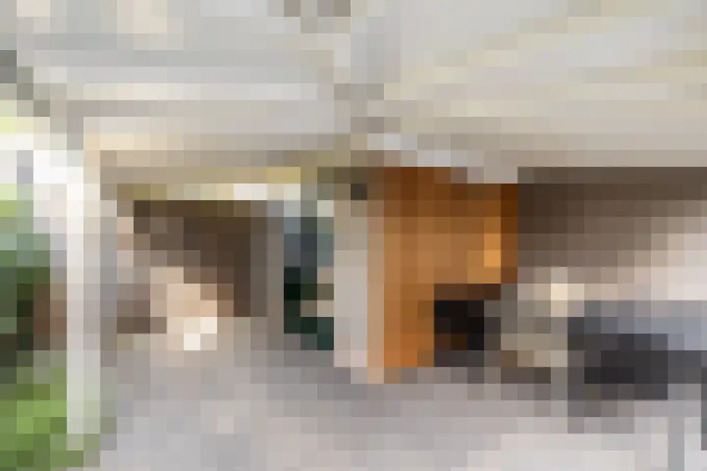 Loeffendijk 6 Middenbeemster thumbnail 42