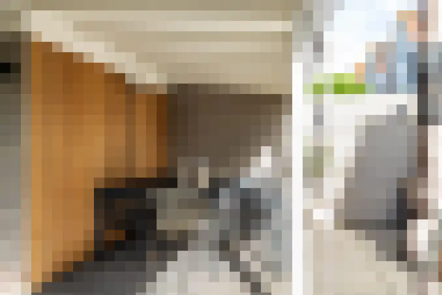 Loeffendijk 6 Middenbeemster thumbnail 43