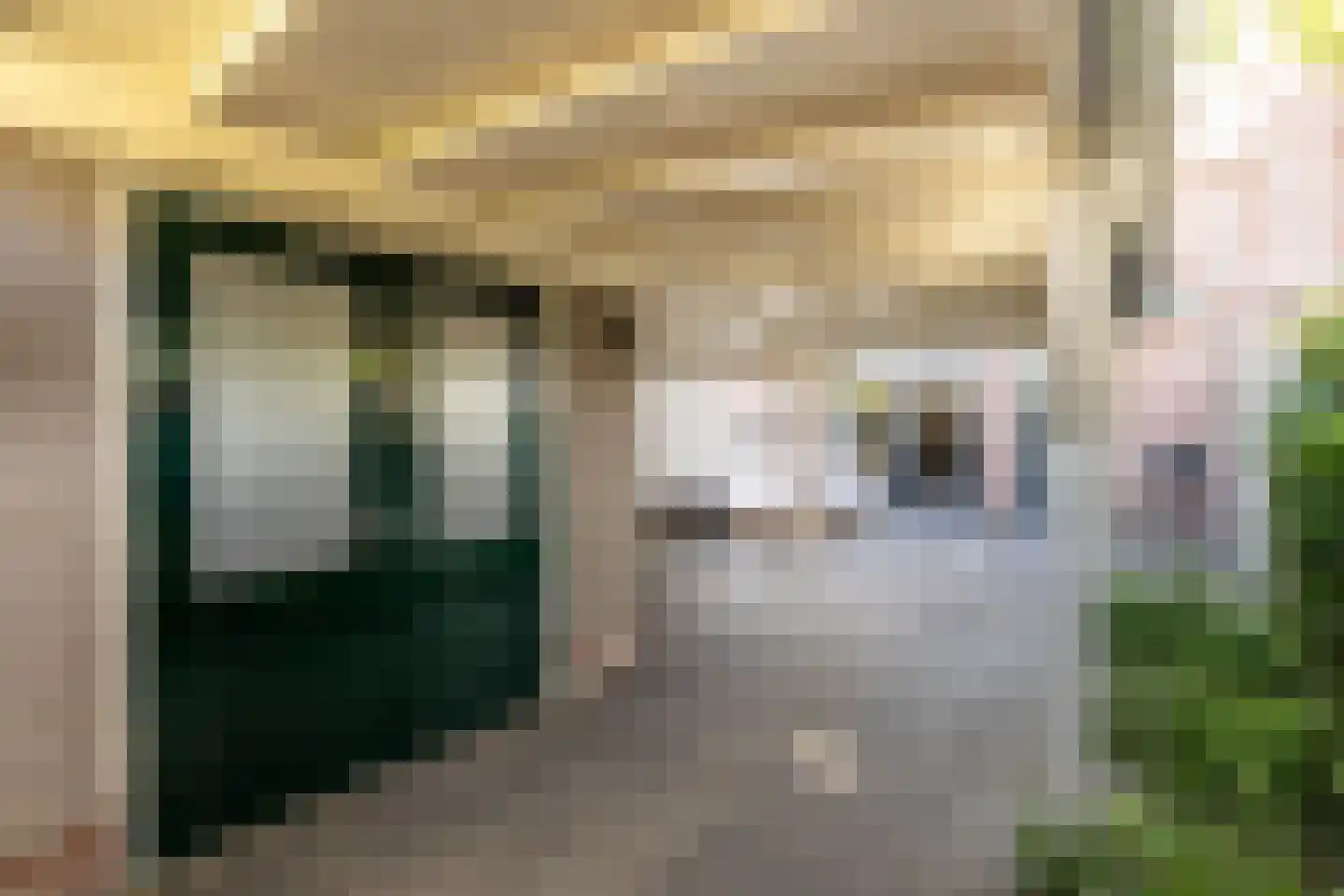 Loeffendijk 6 Middenbeemster thumbnail 45
