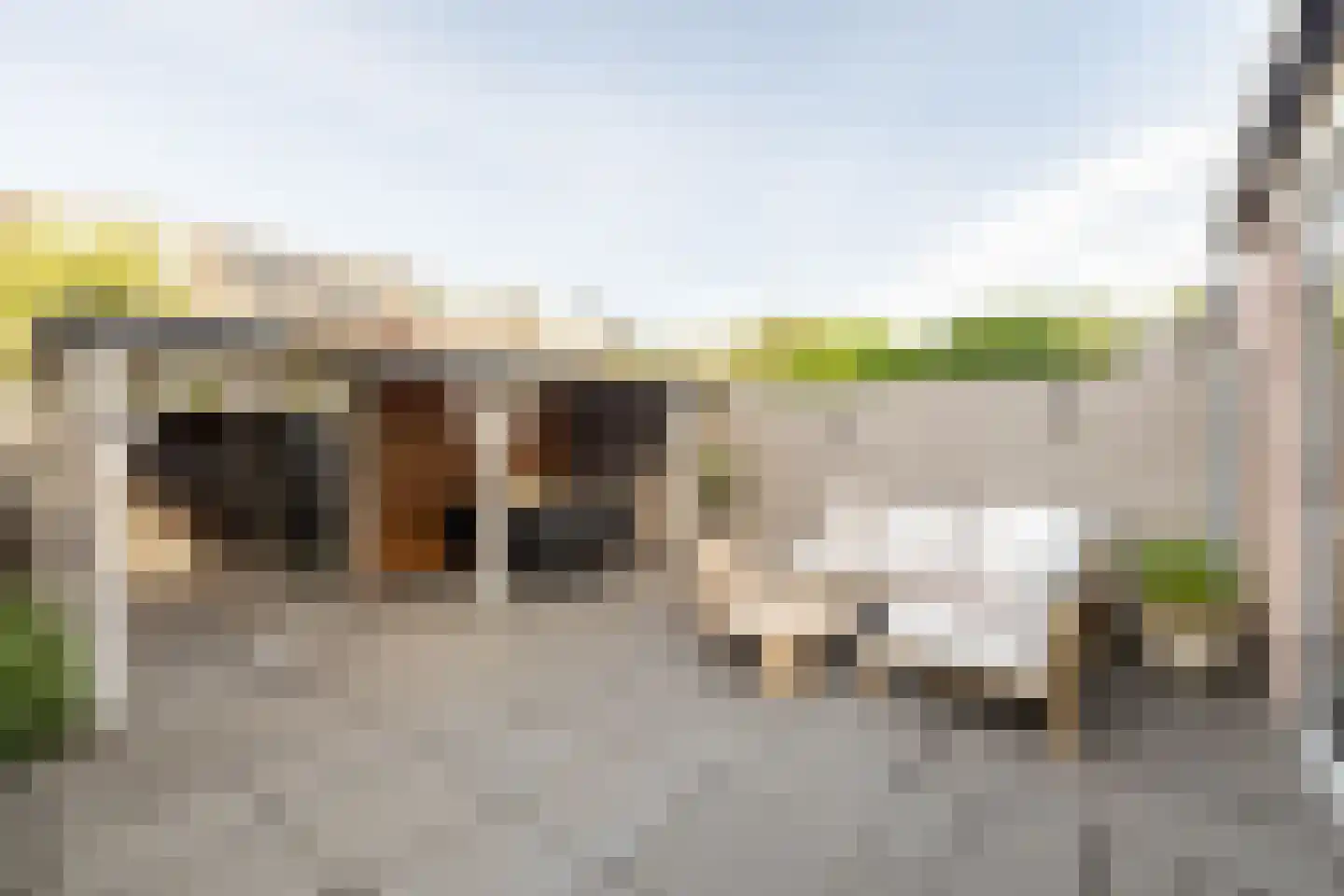 Loeffendijk 6 Middenbeemster thumbnail 5