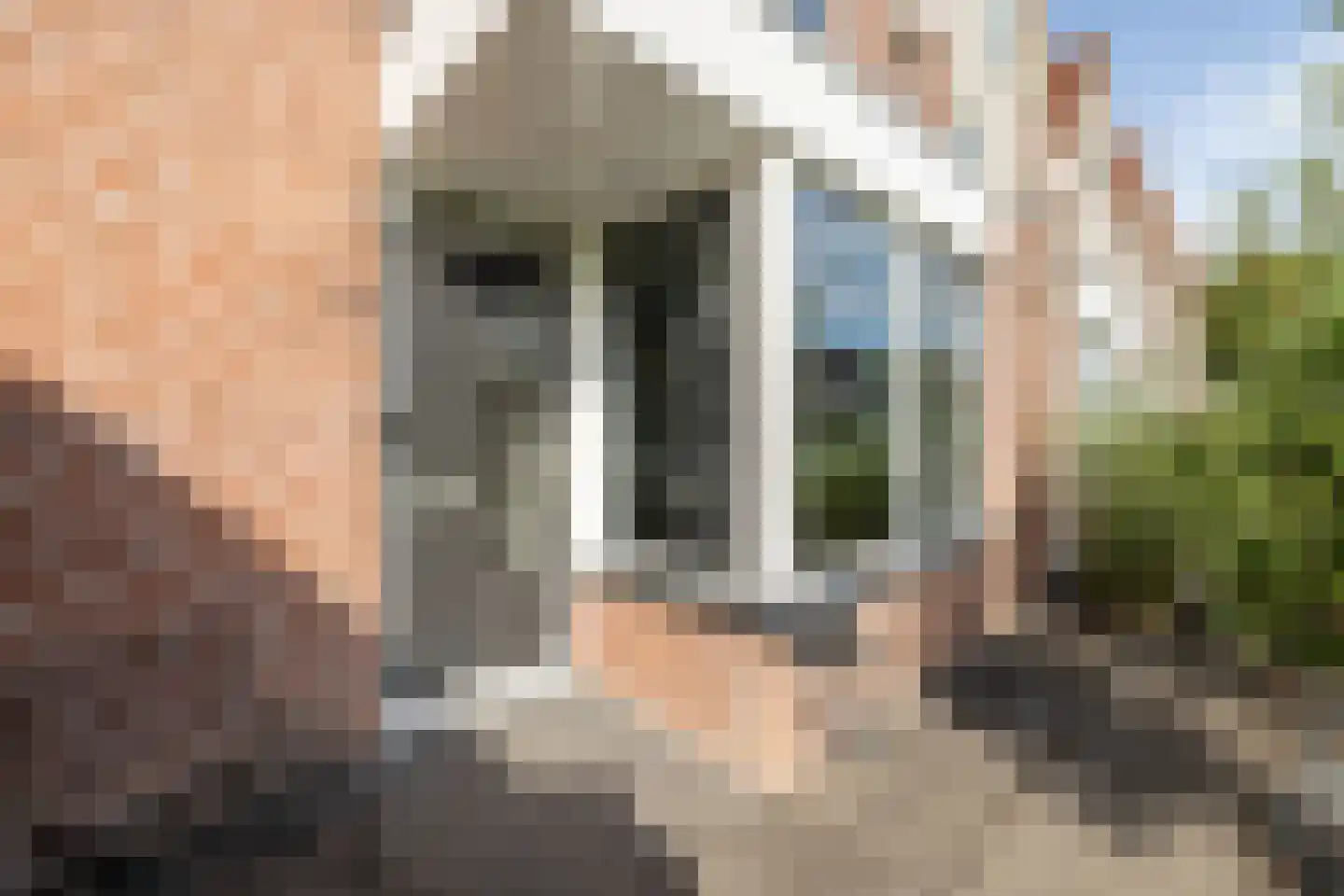 Loeffendijk 6 Middenbeemster thumbnail 8