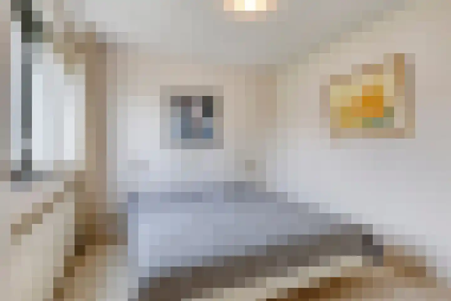 Loeffenstraat 40 Ooij thumbnail 28