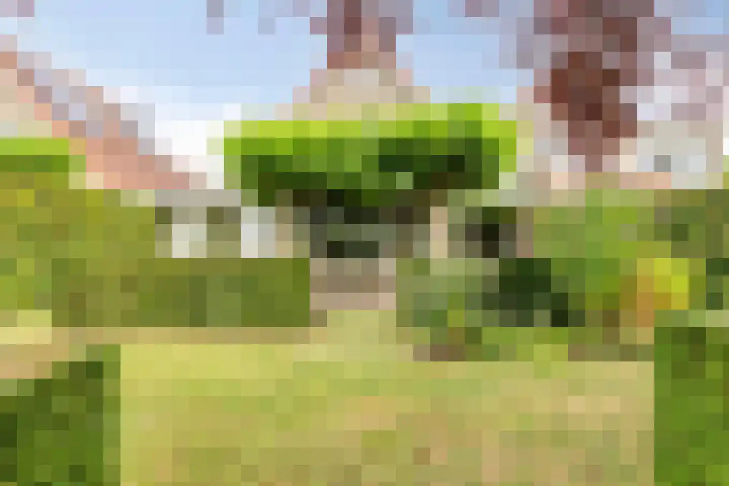 Loeffenstraat 40 Ooij thumbnail 41