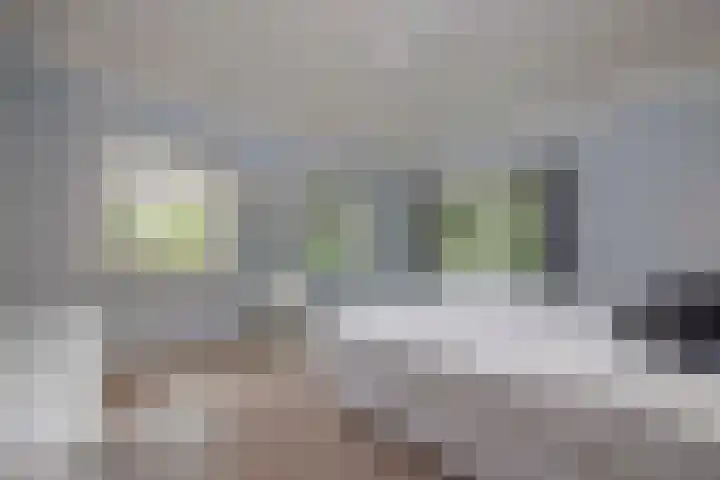 Loeffplein 2 Vught thumbnail 26