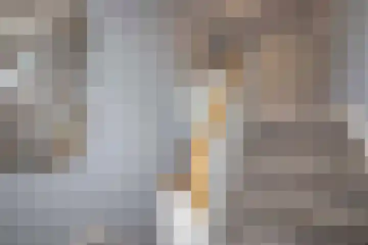 Loeffplein 2 Vught thumbnail 37