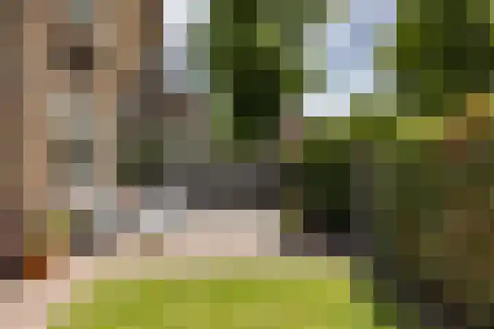 Loeffplein 2 Vught thumbnail 45