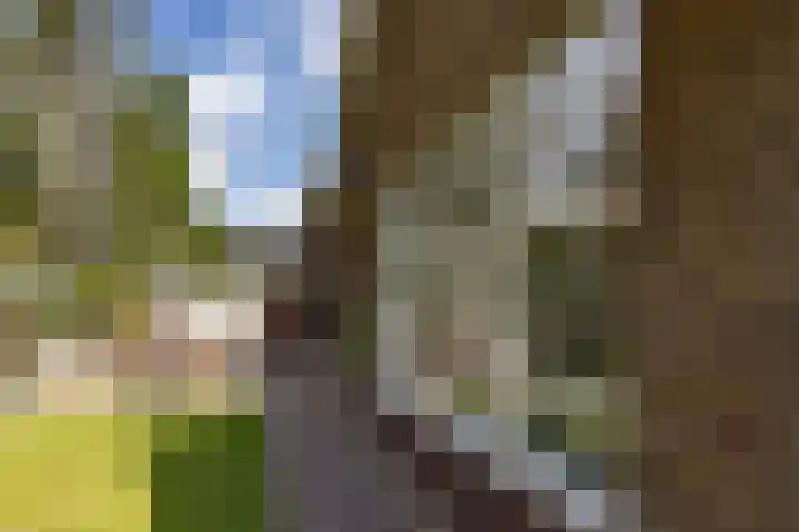 Loeffplein 2 Vught thumbnail 48
