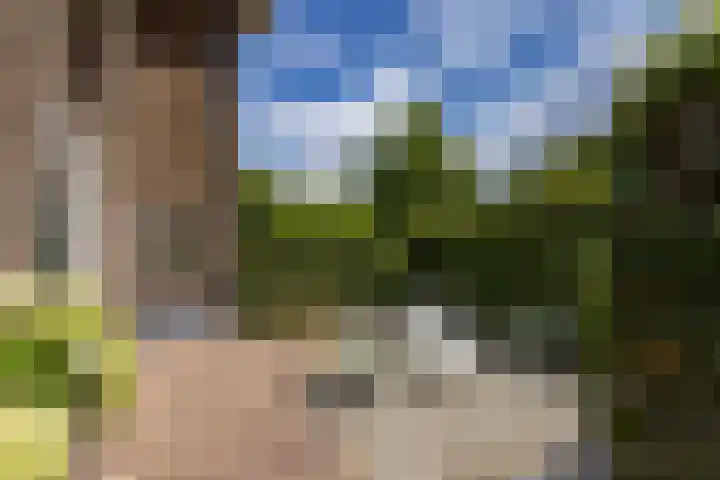 Loeffplein 2 Vught thumbnail 49