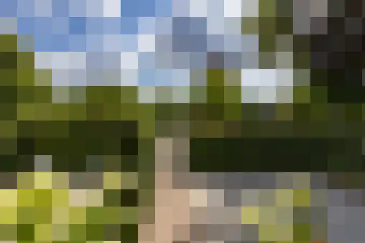 Loeffplein 2 Vught thumbnail 7