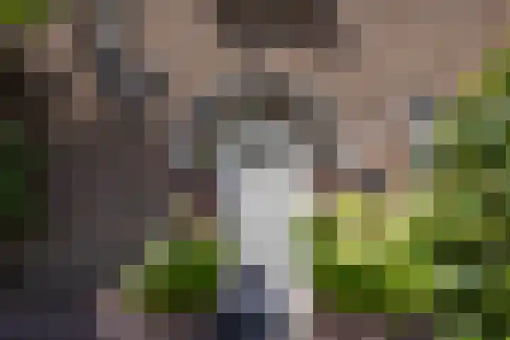 Loeffplein 2 Vught thumbnail 8