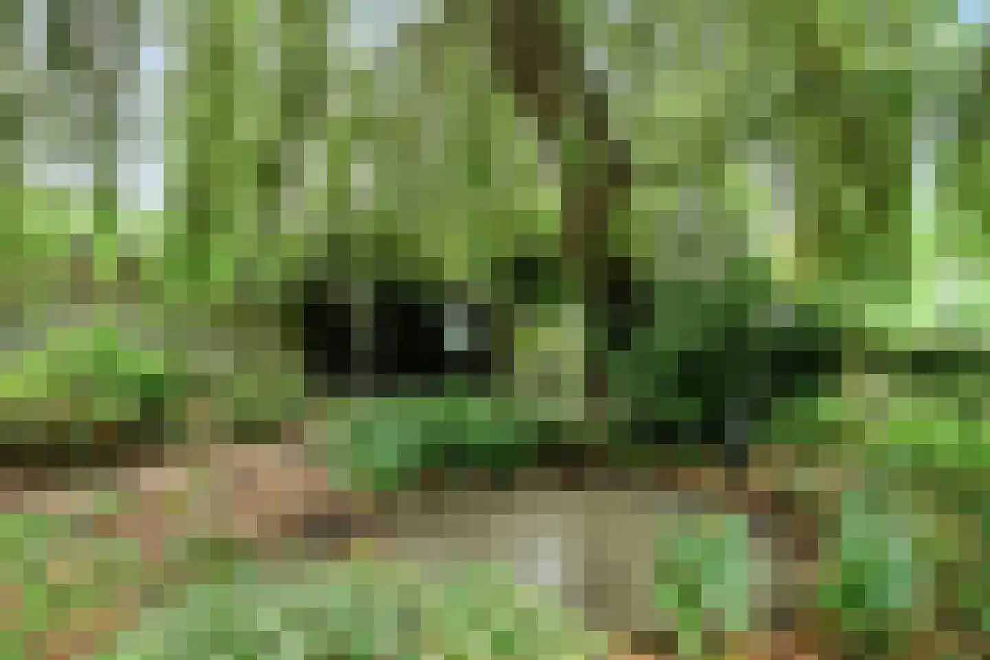 Loeffstraat 1 Waalwijk thumbnail 22