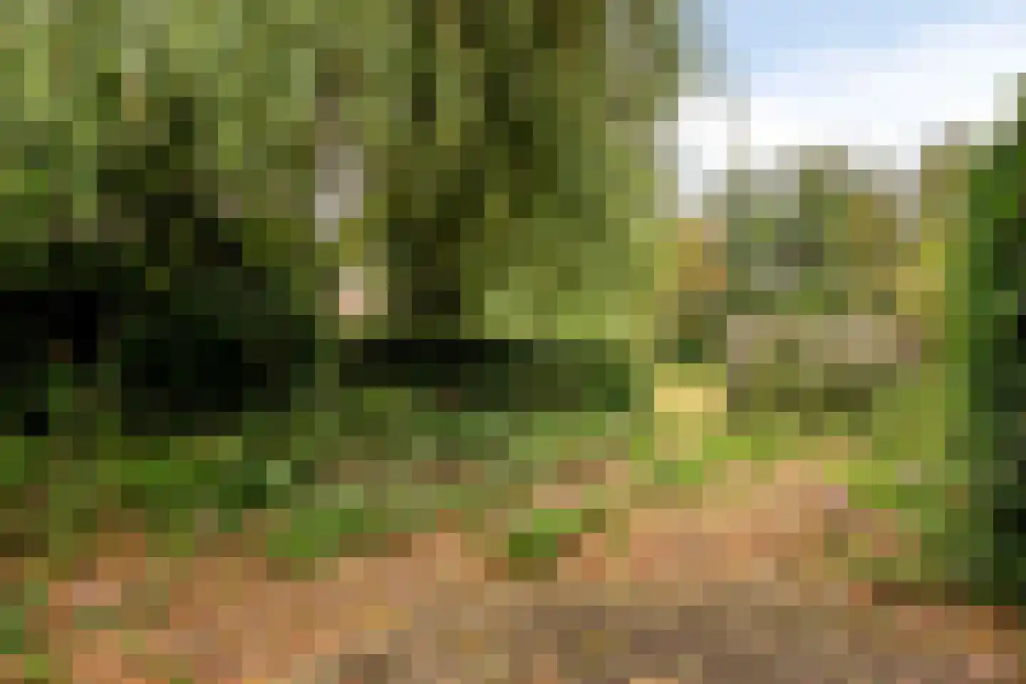 Loeffstraat 1 Waalwijk thumbnail 24
