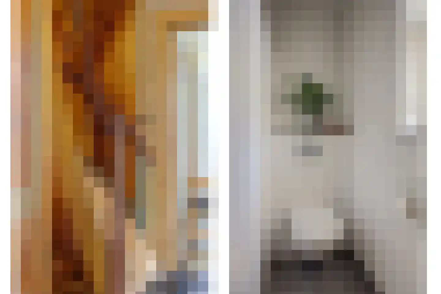 Loeffstraat 111 Waalwijk thumbnail 17