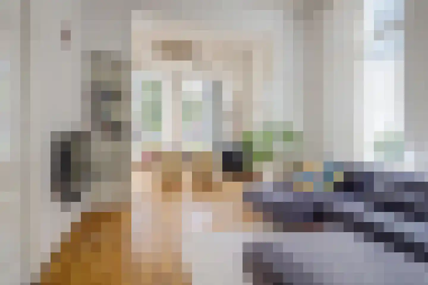 Loeffstraat 111 Waalwijk thumbnail 4