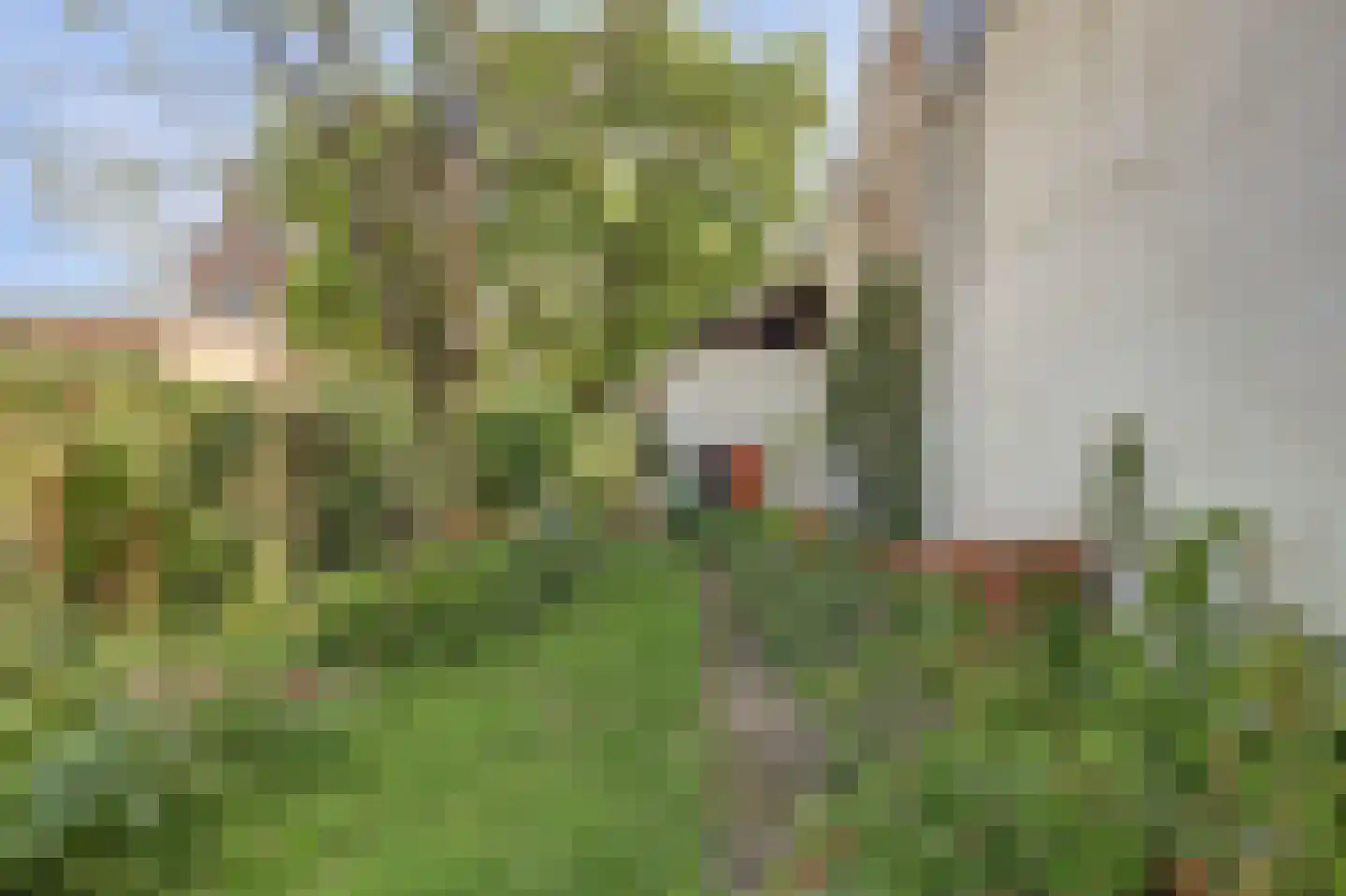 Loeffstraat 111 Waalwijk thumbnail 40