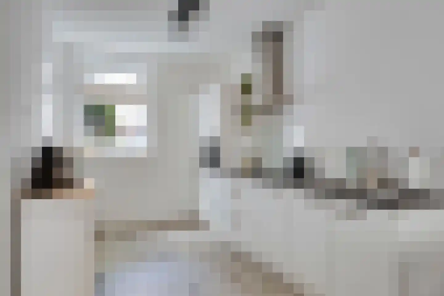 Loeffstraat 36 a Waalwijk thumbnail 12
