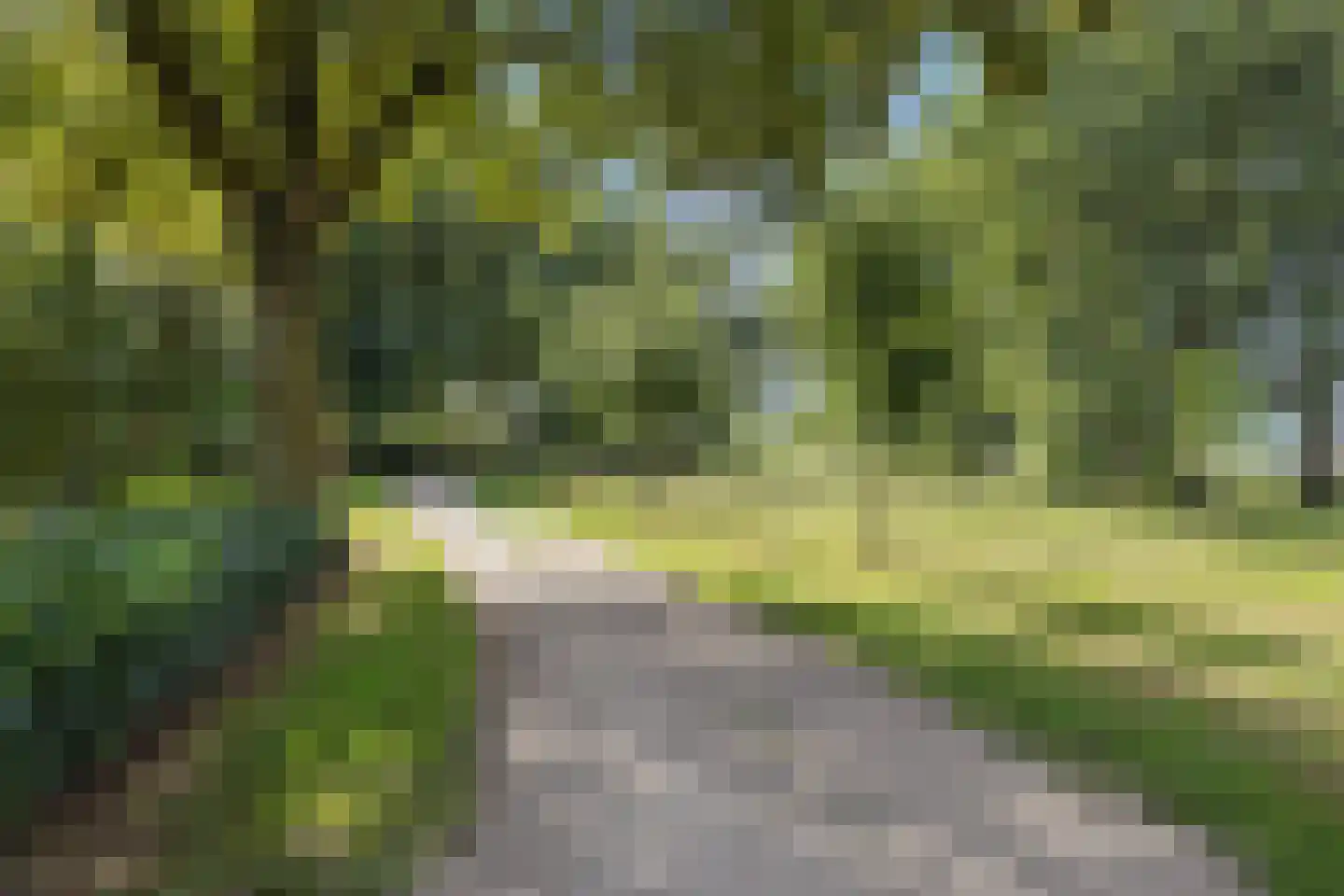 Loeffstraat 58 a Waalwijk thumbnail 34