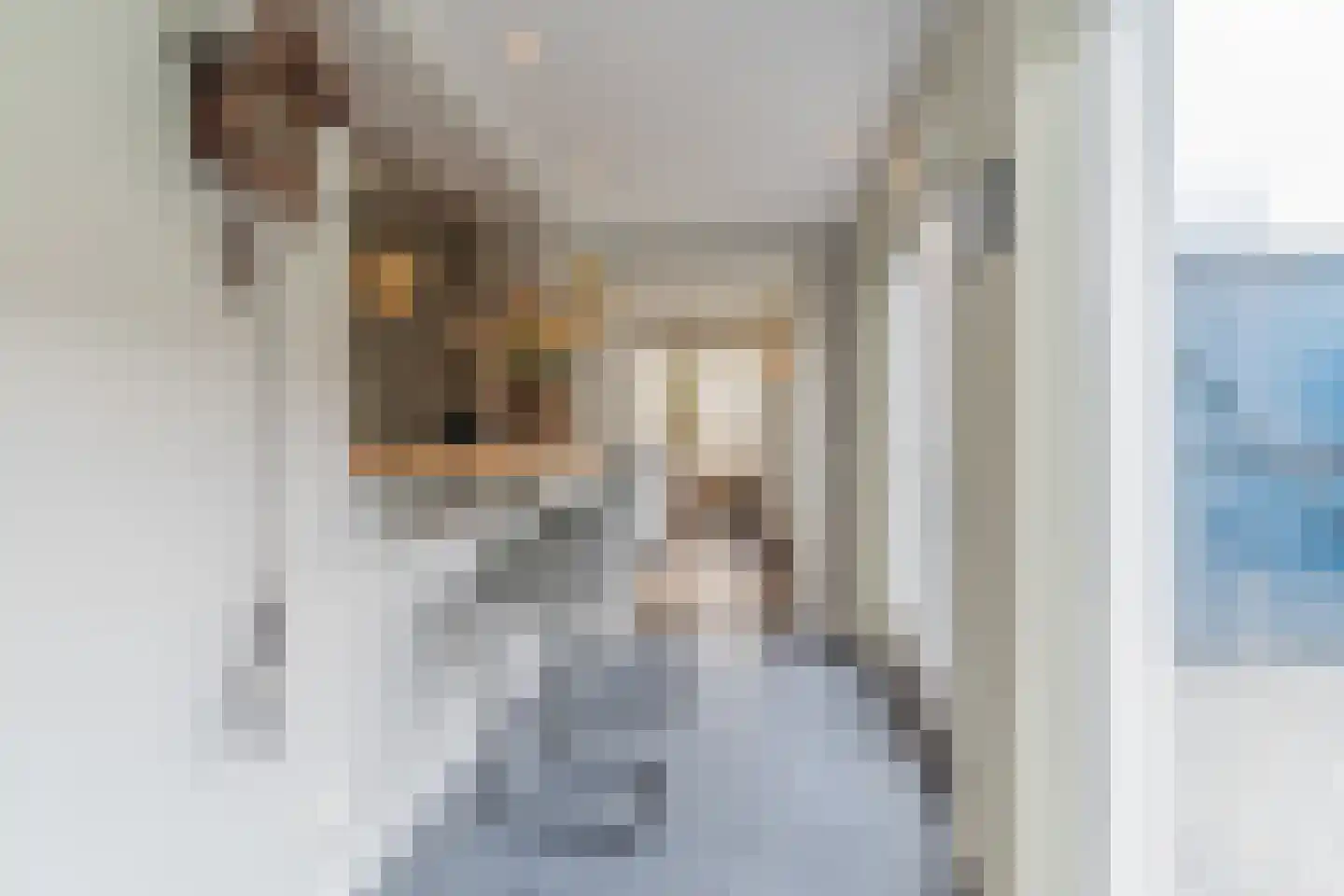 Loeffstraat 6 Waalwijk thumbnail 12