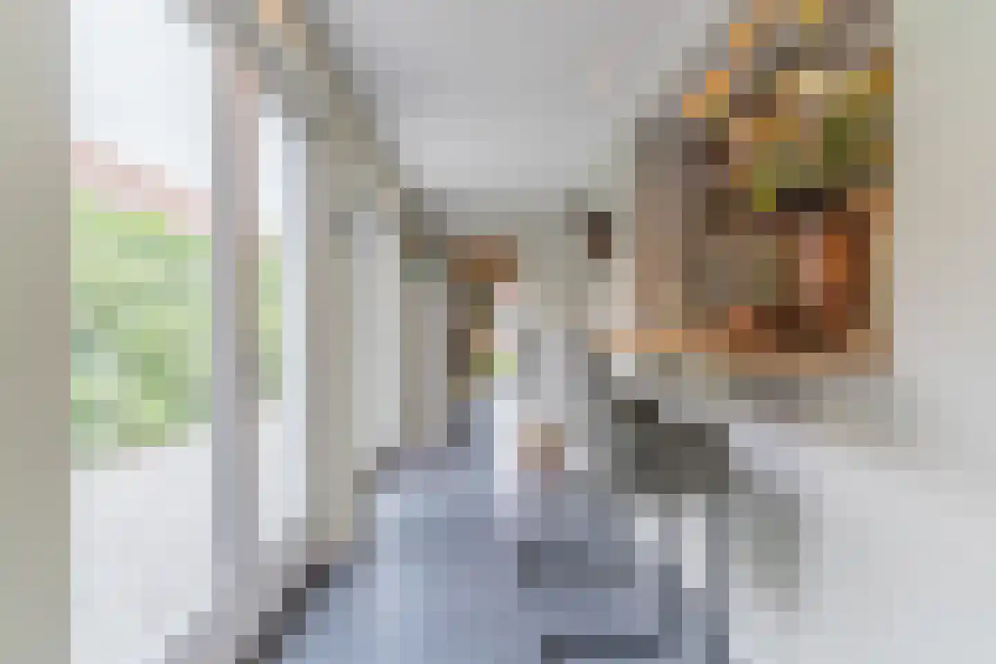 Loeffstraat 6 Waalwijk thumbnail 13