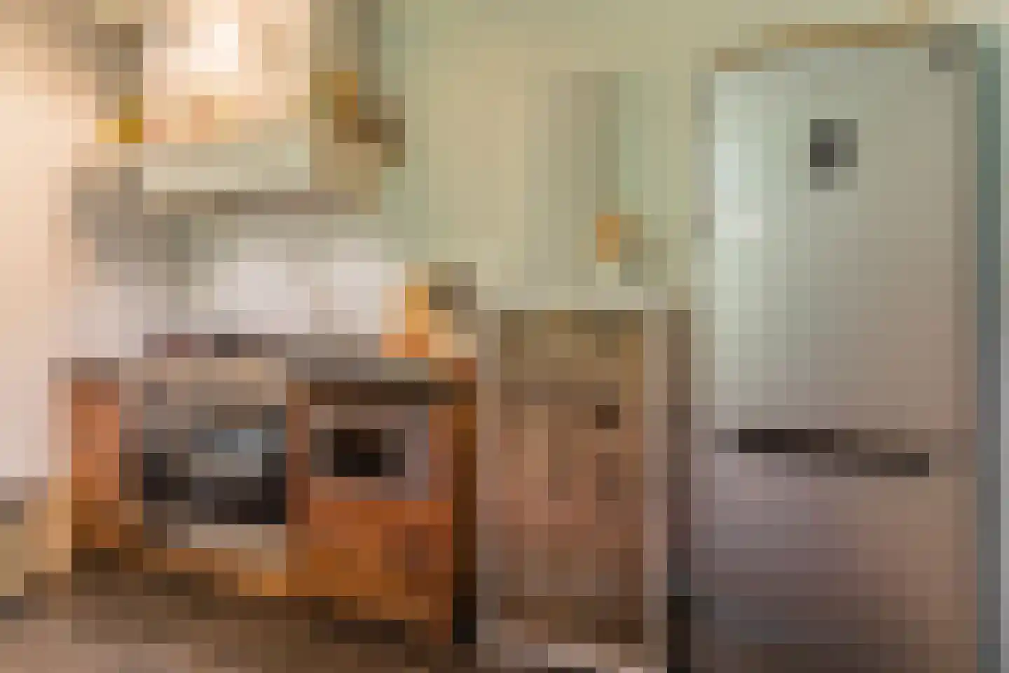 Loeffstraat 6 Waalwijk thumbnail 17