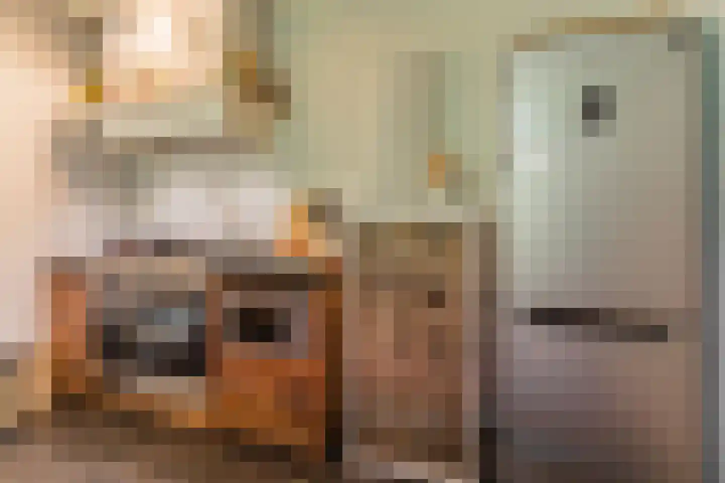 Loeffstraat 6 Waalwijk thumbnail 18