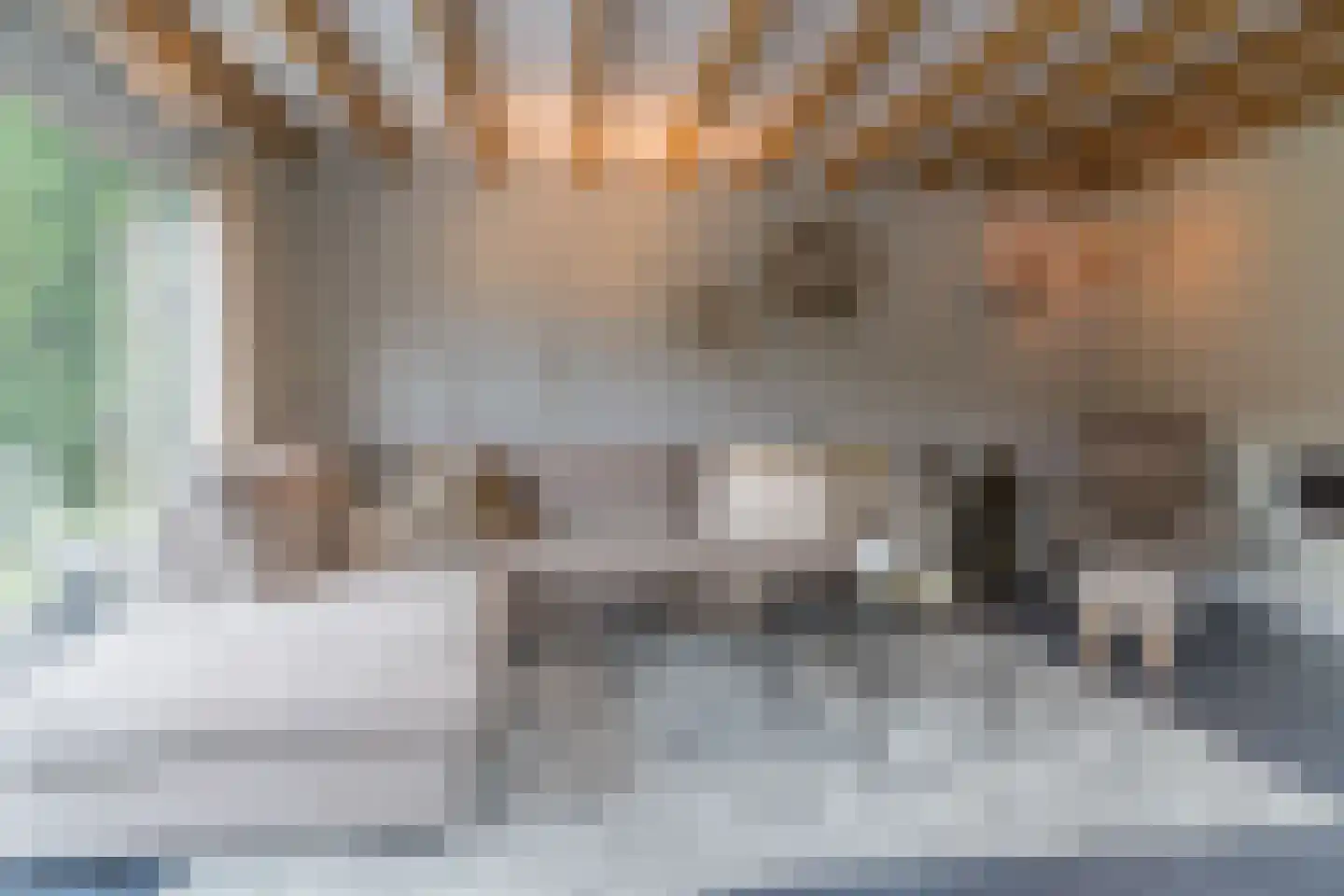 Loeffstraat 6 Waalwijk thumbnail 19