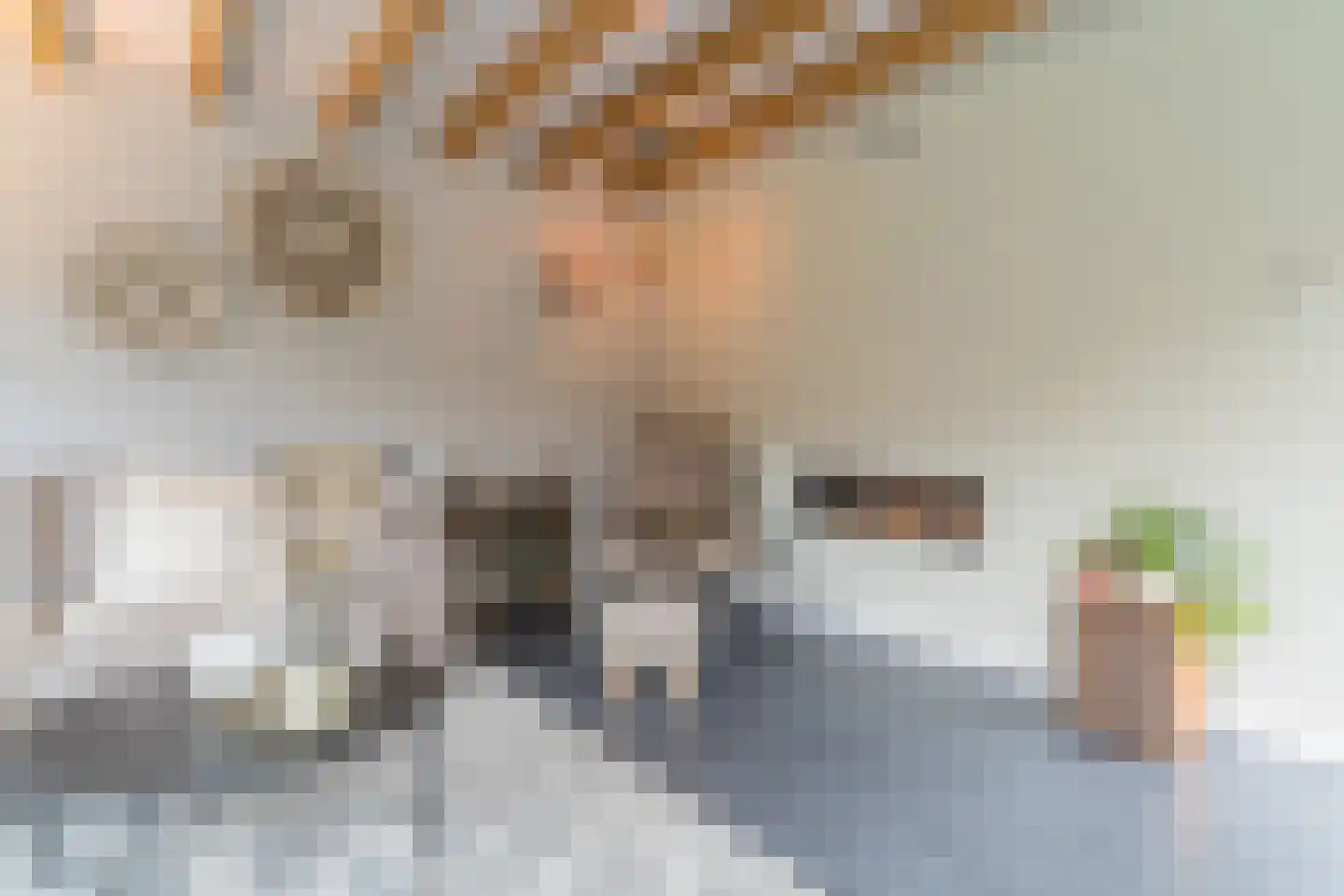 Loeffstraat 6 Waalwijk thumbnail 20