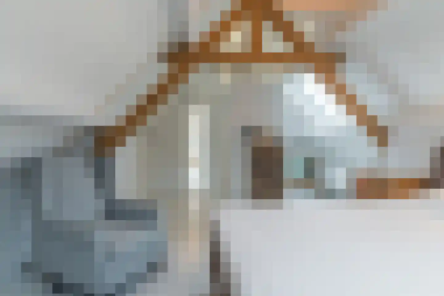Loeffstraat 6 Waalwijk thumbnail 34