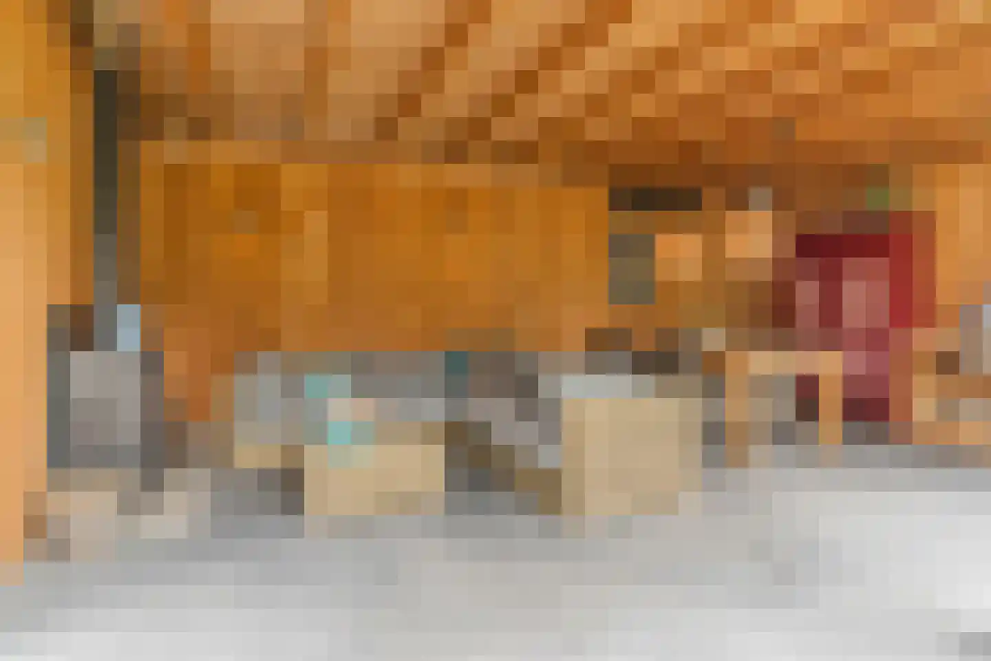Loeffstraat 6 Waalwijk thumbnail 42