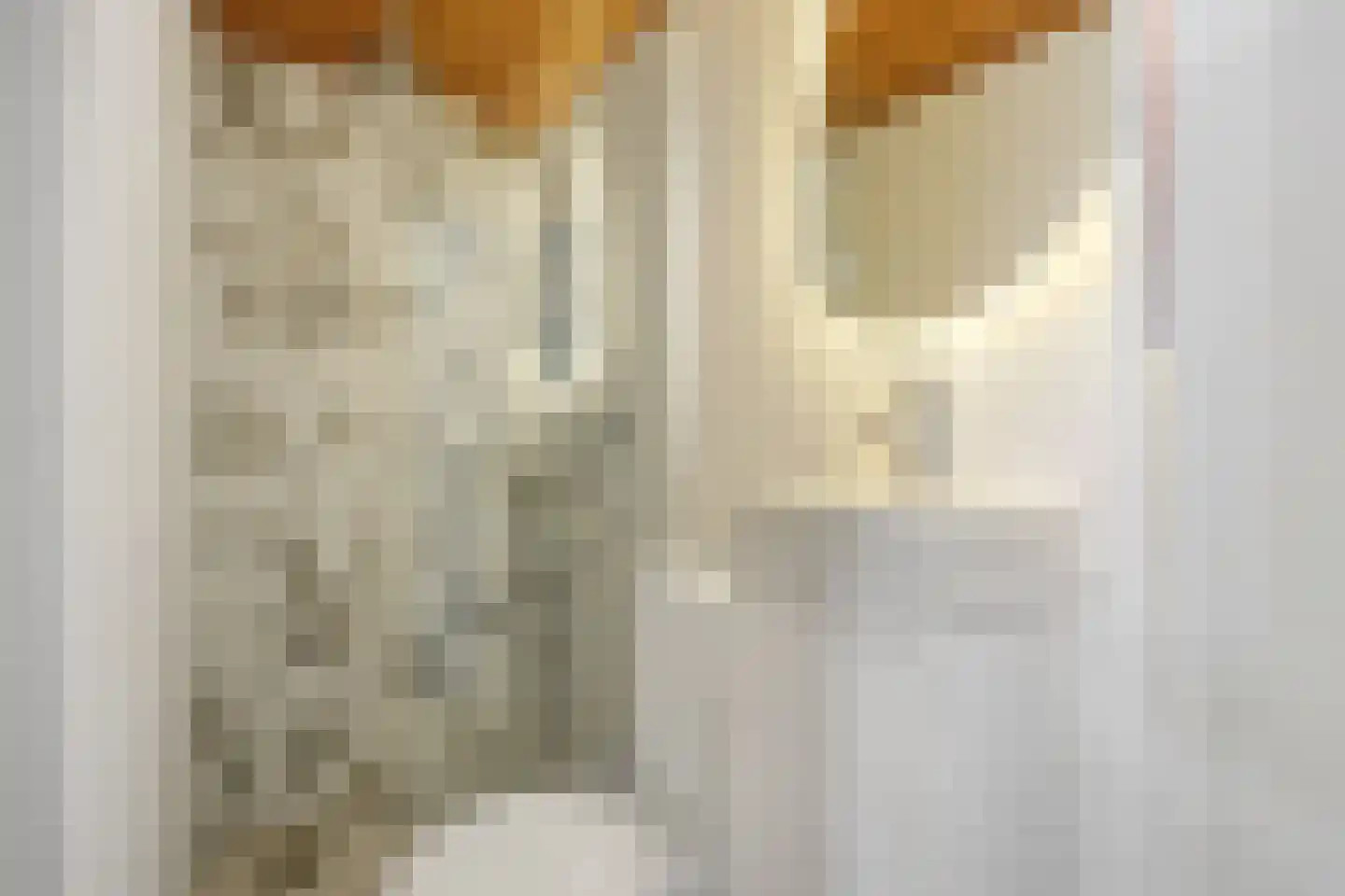 Loeffstraat 8 Waalwijk thumbnail 41